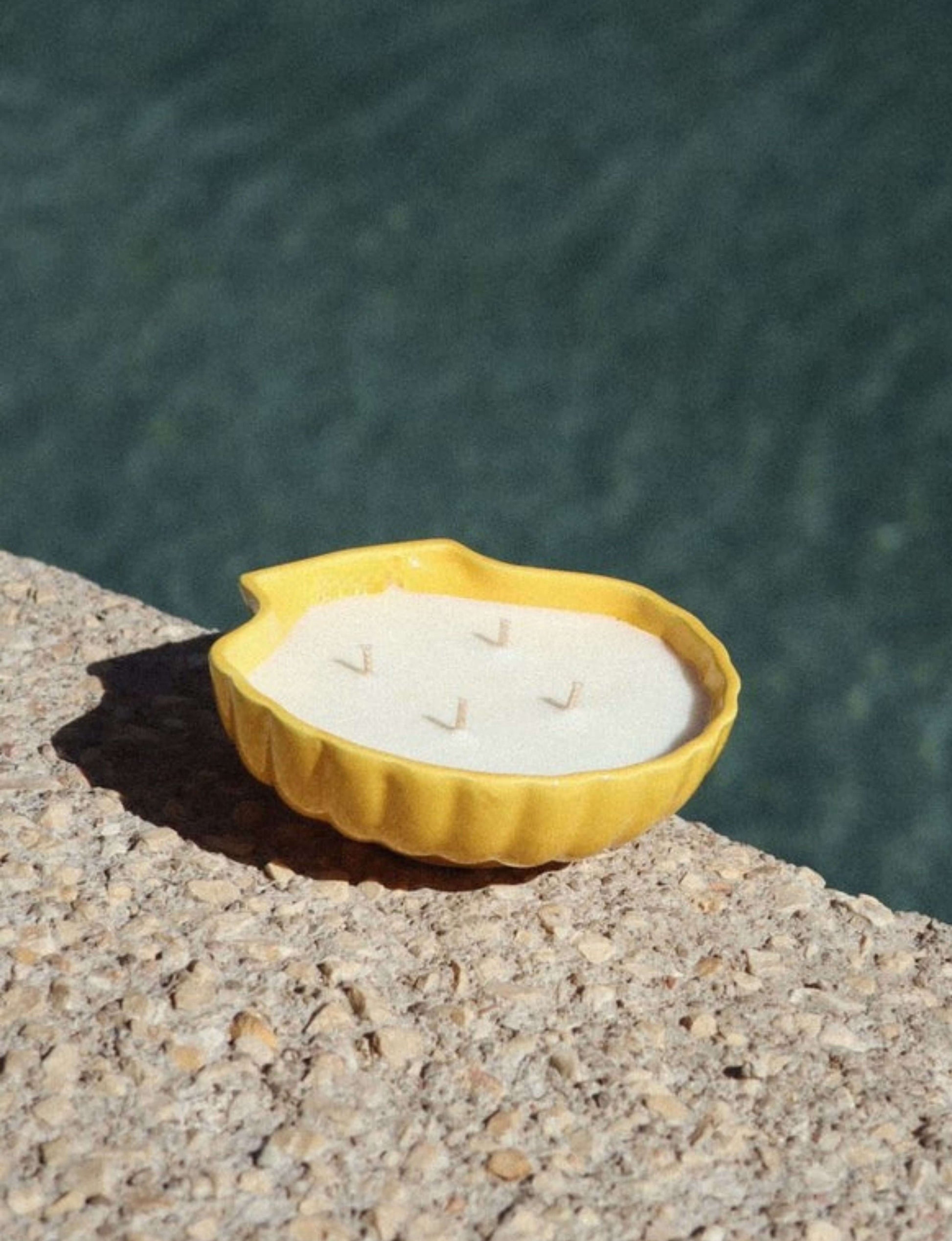 bougie coquillage beata marseille