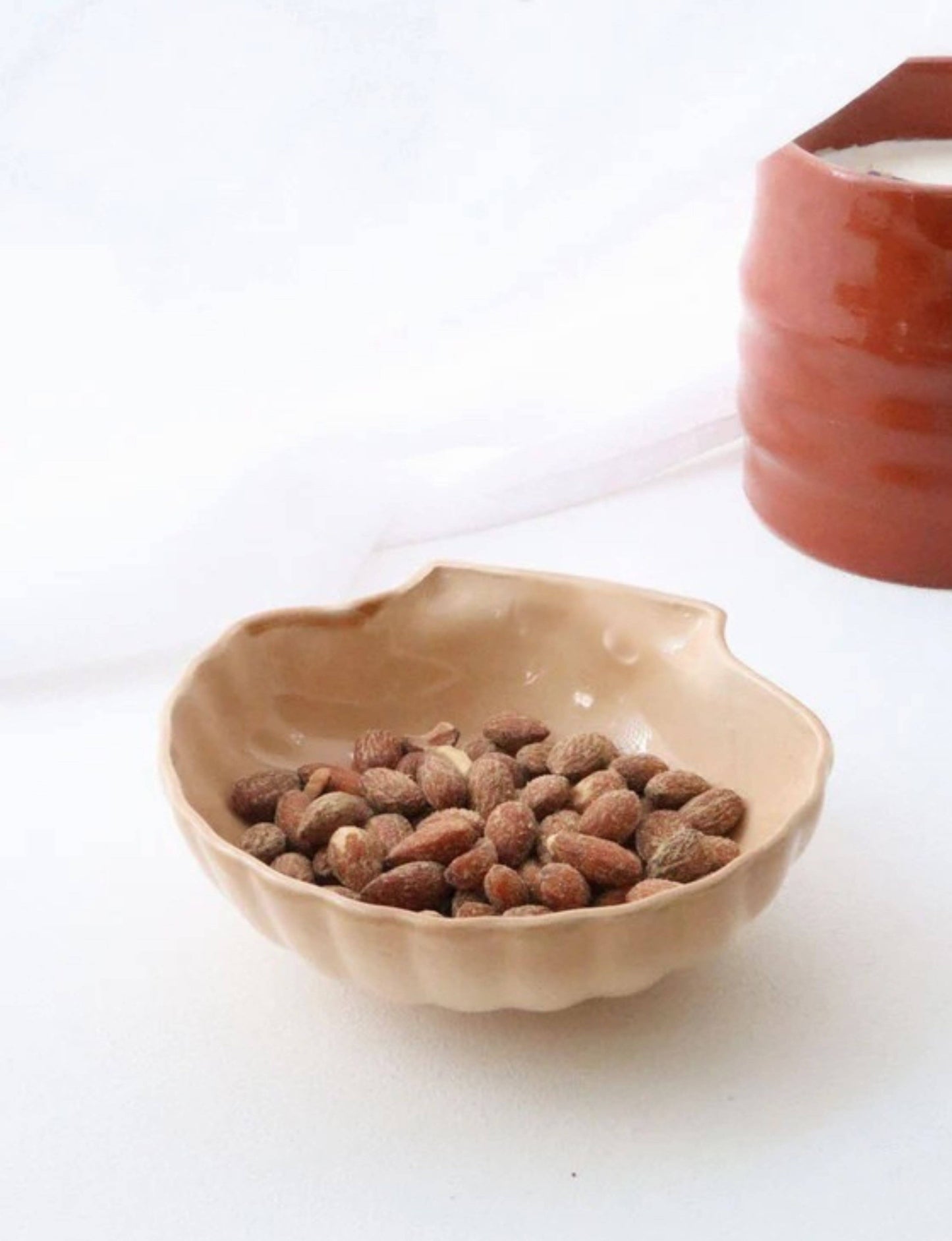 Plat apéritif forme coquillage