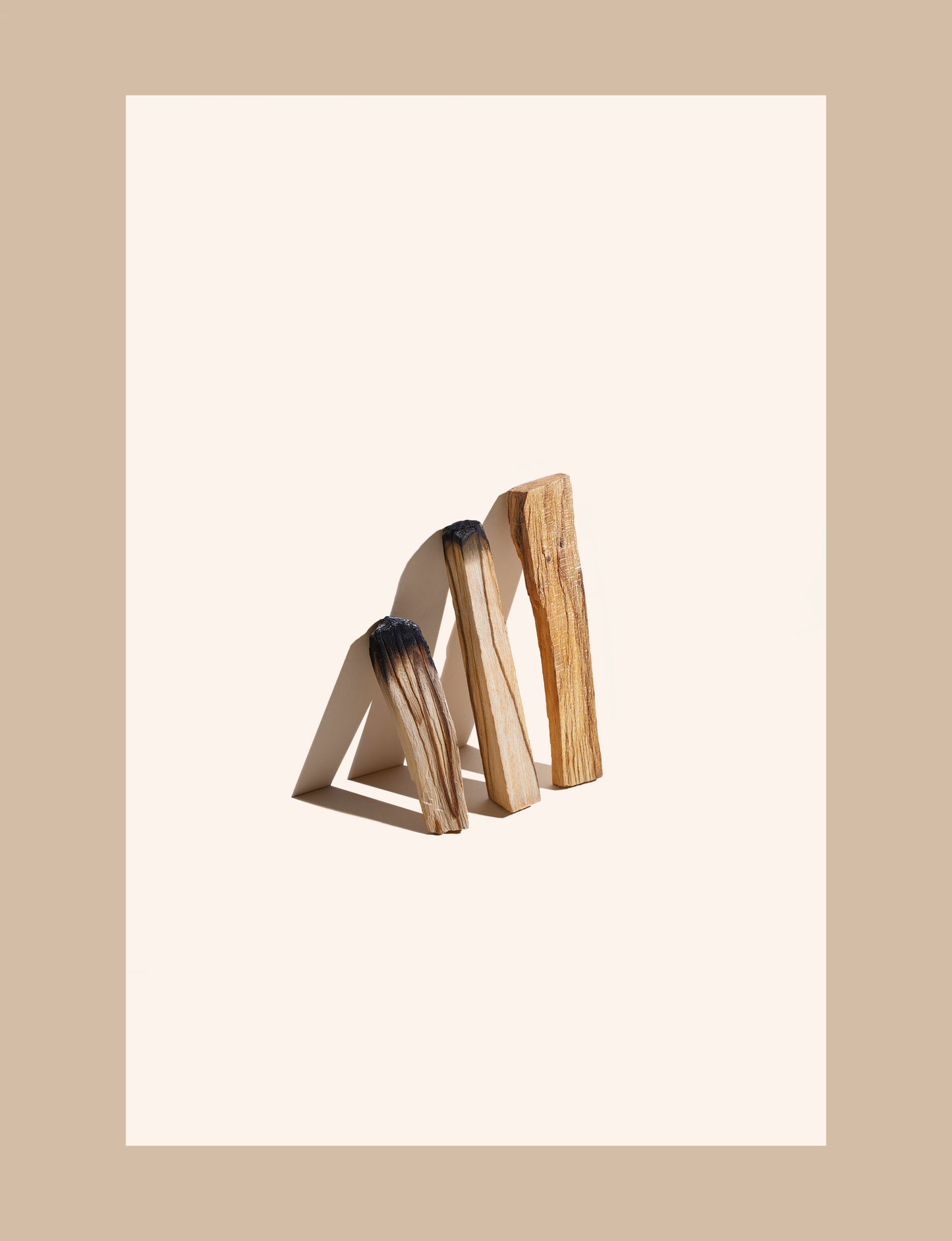 Trio Palo Santo